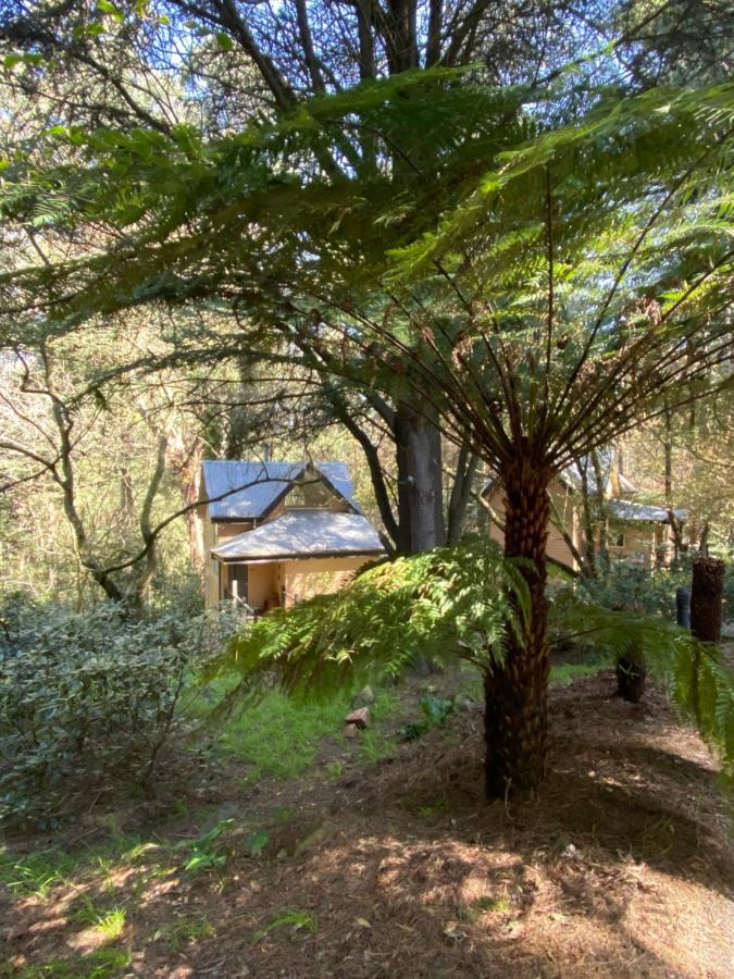 אולינדה Lochiel Luxury Accommodation מראה חיצוני תמונה